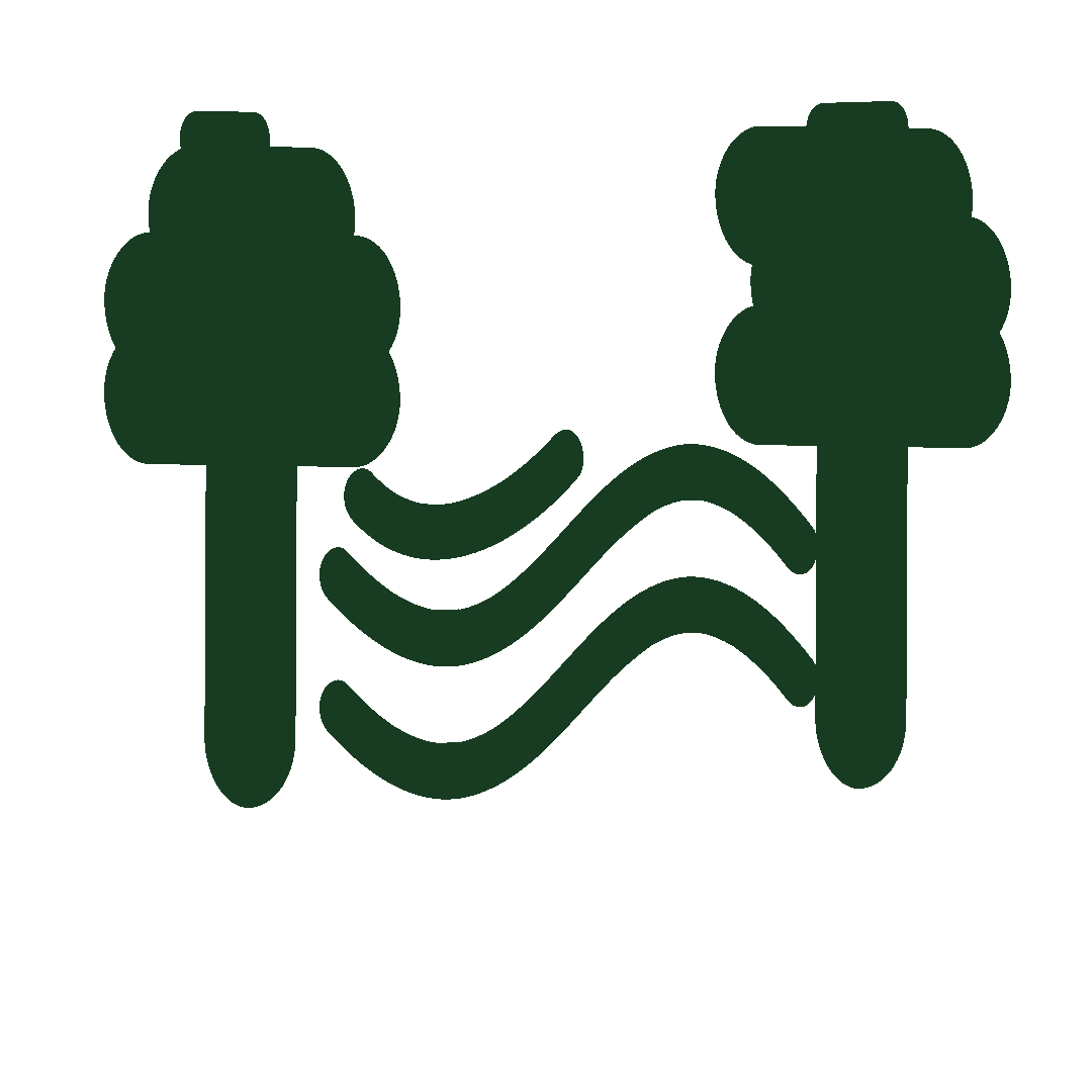 Enamórate de nuestras hermosas áreas verdes en nuestros terrenos en tulum