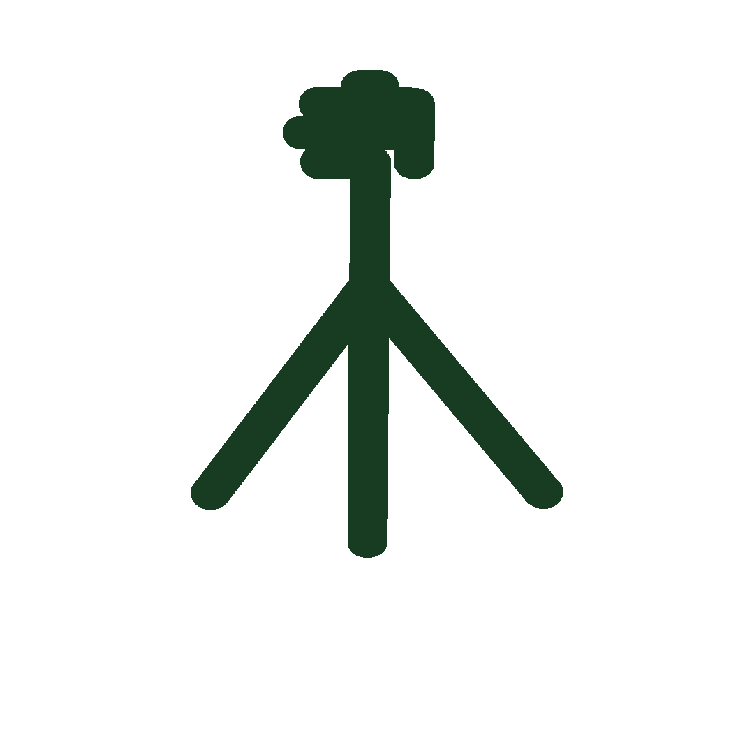 Contamos con lotes tipografiados en nuestros terrenos en tulum